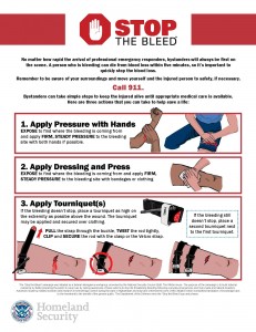 Stop the Bleed - Save a Life Infographic